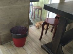 -巧云大馄饨(南阴阳营总店)