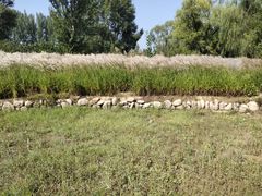 -野鸭湖国家湿地公园