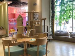 -藏猫猫咖啡主题馆(中央大道店)