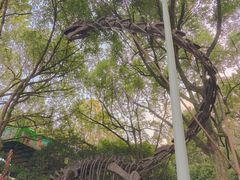 -杭州少年儿童公园