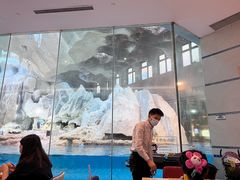 -帝企鹅自助餐厅•儿童岛•真企鹅(长隆企鹅酒店)