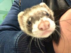 -雨林宠物医院 非犬猫异宠专科