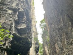 -蝶舞清江·恩施云顶景区(黄鹤峰林)