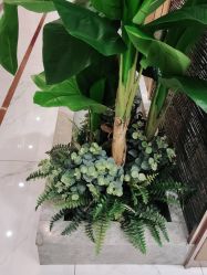 -芳朵美容养生SPA