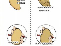 -胖东来生活广场(健康路店)