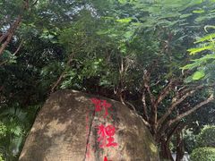 -野狸岛
