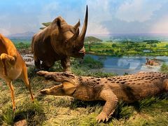 -国家自然博物馆