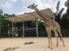 -泉州海丝野生动物世界