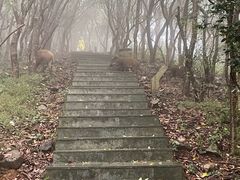 -梧桐山风景名胜区