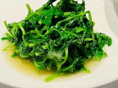 素炒豌豆尖-柿合缘新京菜(国金中心商场店)