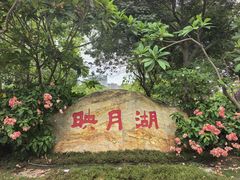 -映月湖公园
