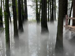 -东湖落雁景区