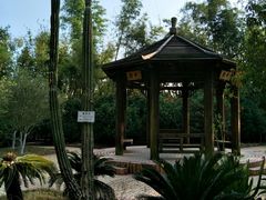 -广东茂名森林公园