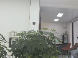 -阿三造型烫染•接发