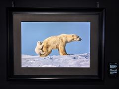 -罗红摄影艺术馆