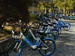 -同济大学(嘉定校区)