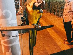-冰城小镇音乐串吧·聚会餐厅(百子湾店)