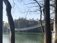 -东湖落雁景区