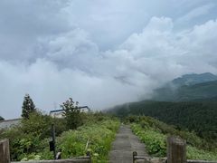 -武陵山森林公园