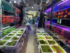 -双季花艺园艺市场(浦东店)