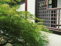 -常熟方塔园