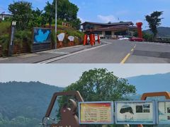 -南山植物园