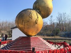 -溱湖国家湿地公园