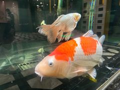 -海德温泉酒店