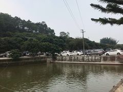 -满記土窑烧鷄波浪山莊