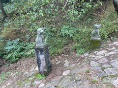 -四明山国家森林公园