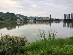 -美的鹭湖森林度假区