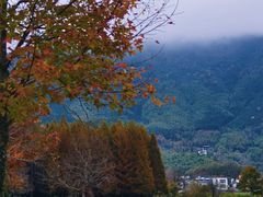 -塔川景区