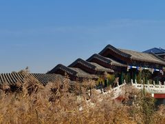 -西海子公园