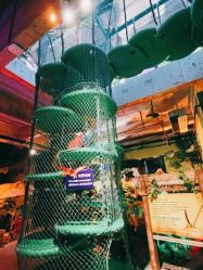 -恐龙探索乐园(磁器口店)