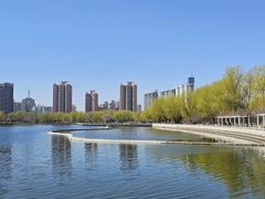 -莲花池公园