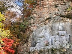 -天女山森林公园