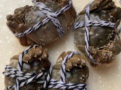 -乡乐园蟹庄·阳澄湖农家乐