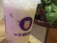 -一只酸奶牛(八一路店)