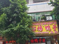 -绸都杨鸭子(总店)