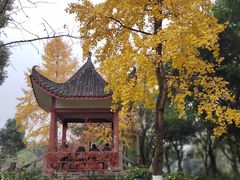 -大渡口区义渡公园