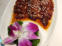 -广顺鑫猪肚鸡(经八路店)