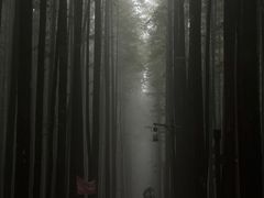 -山王坪喀斯特国家生态公园