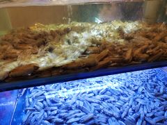 -特色酱椒鱼私房菜(黄鹤楼店)