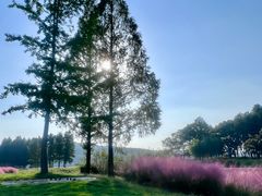 -水上明月·湖景餐厅