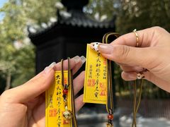 -西安大兴善寺