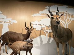 -陕西自然博物馆