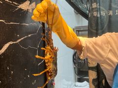 -雍容荟帝王蟹活龙虾展台自助(IFS黑金店)