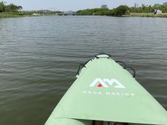 -春花秋色城市公园