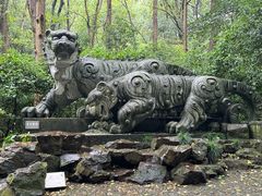 -虎跑公园