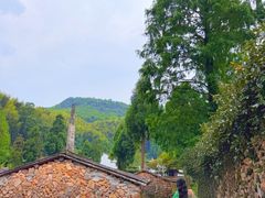 -大罗山风景区